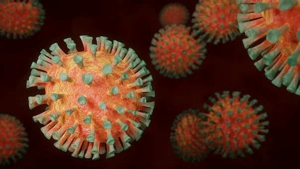 coronavirus-4972480__340.webp.jpg